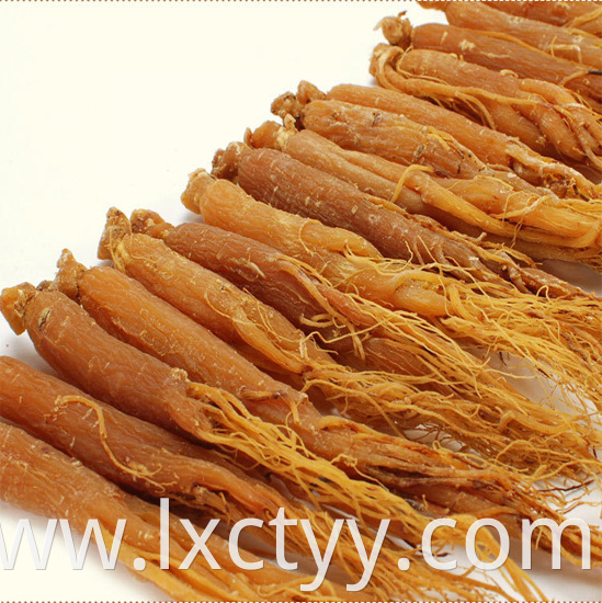 korean red ginseng root